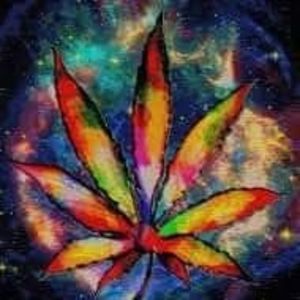 Meet your Posher, Ben